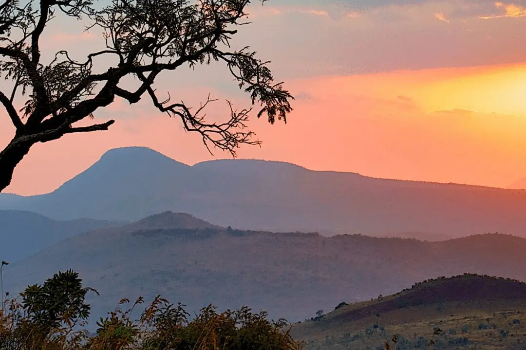 Safari Specialists Hunts Abroad