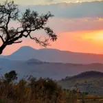 Safari Specialists Hunts Abroad
