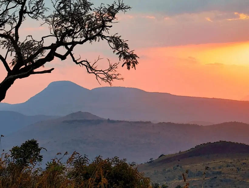 Safari Specialists Hunts Abroad