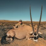 Gemsbok