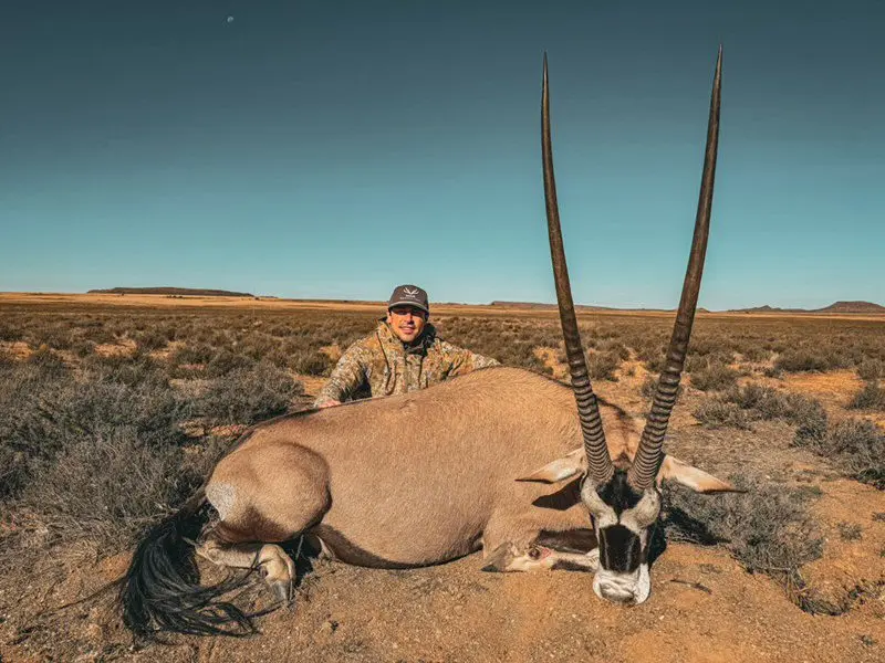 Gemsbok