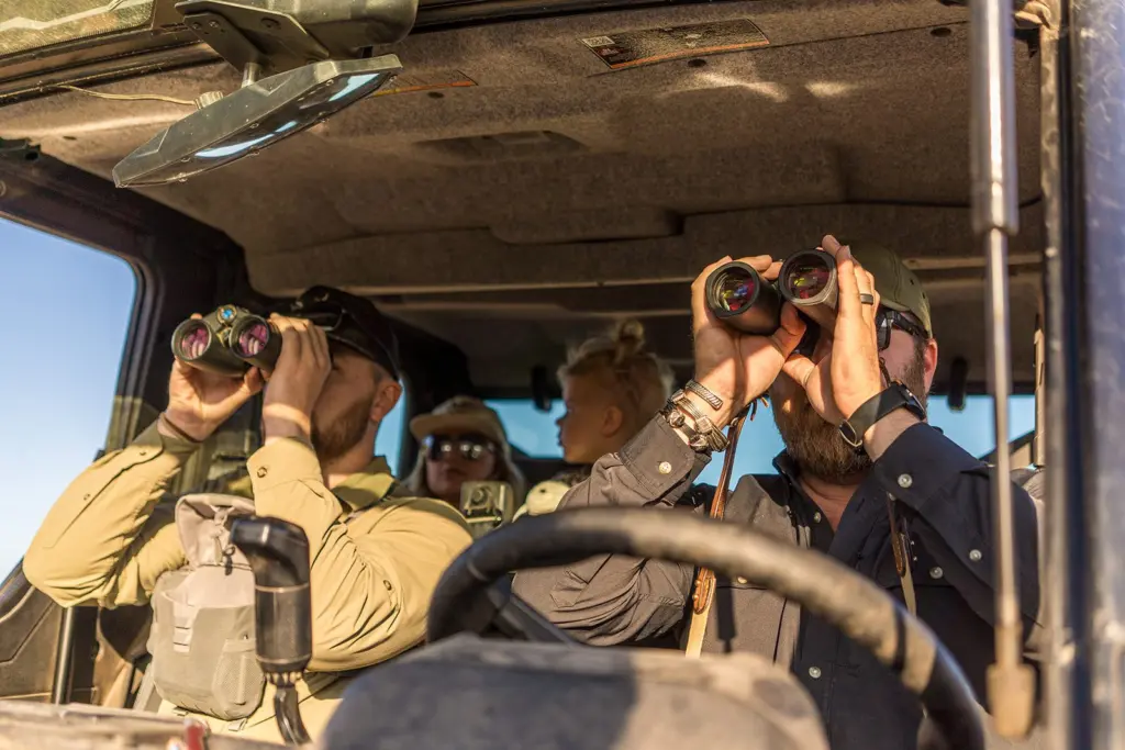 Safari Specialist