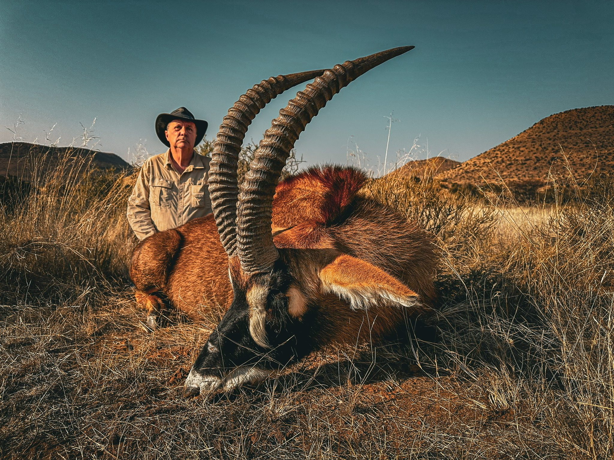 Safari Specialists Sable Safari Specialists Africa Exotic Sable Hunts