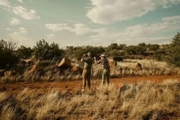 south africa hunt